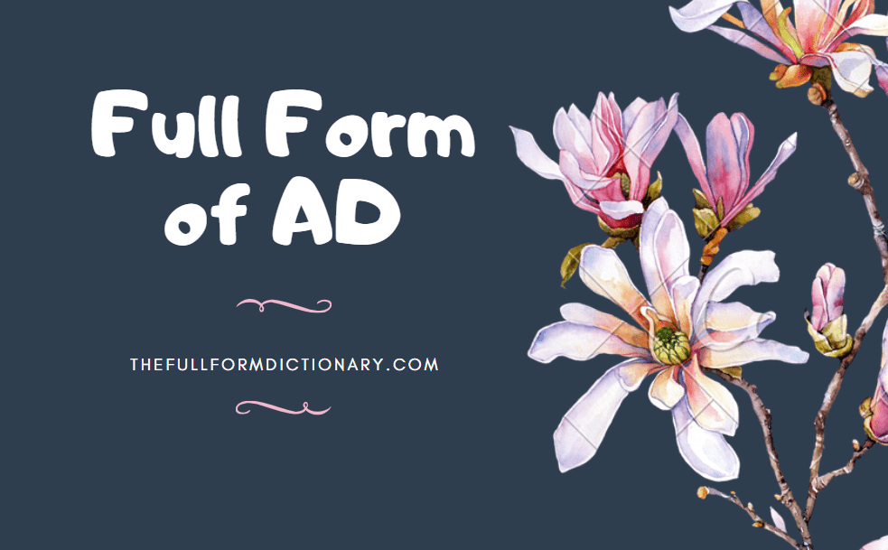What Is The Full Form of AD? The Full Form Dictionary