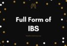 full form of IBS
